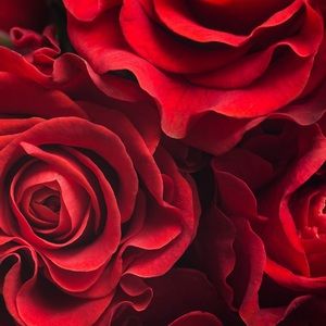 Meet your Posher, Muna